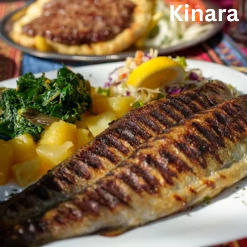 Trout Fish (Full)