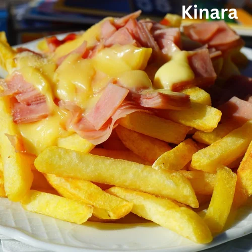 Cheese Special Fries