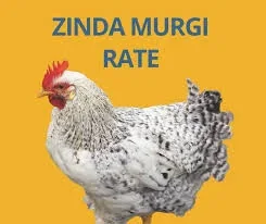 Chicken Zinda Per KG