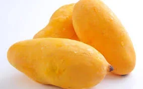 Mango Sindhri