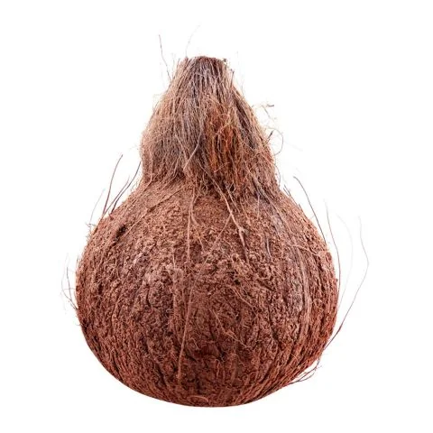 Coconut (Naaril) Local, 1-Piece