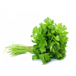 Coriander 100g - دھنیا